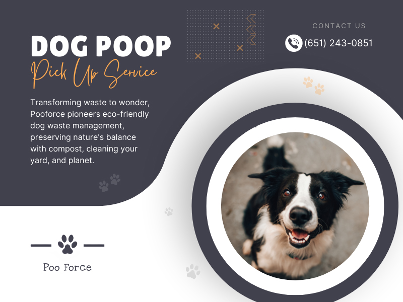 Dog Poop Pick Up Service