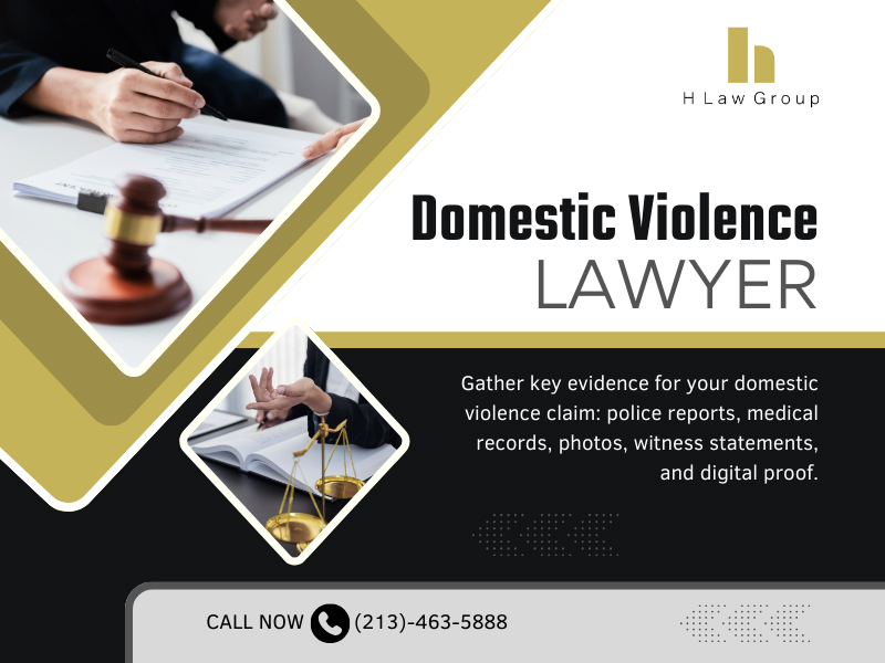 Domestic Violence Lawyer