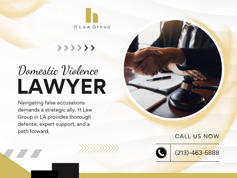 Domestic Violence Lawyer