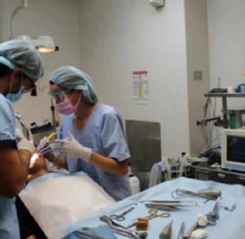dental implant surgery - dental implants professionals - sydney