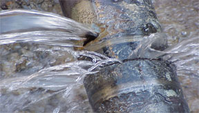 leaking and burst pipe repair - saving plumbing - toronto
