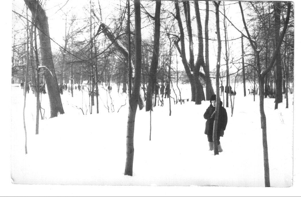 Зима в парке Михалково