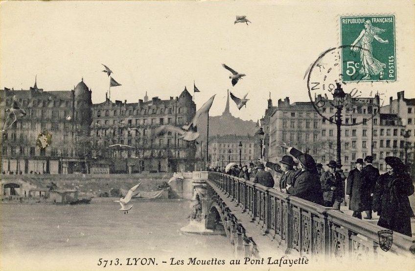 Lyon — Les Mouettes au Pont Lafayette