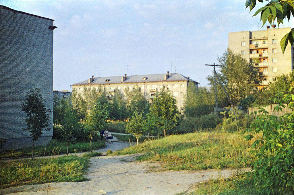 Вид от перекрестка улиц Пушкина и Шевченко