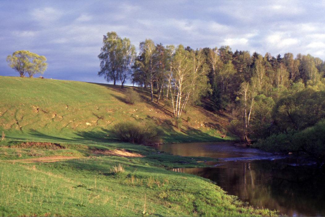 Гремячево. Коровьи тропы на левом берегу реки Нары