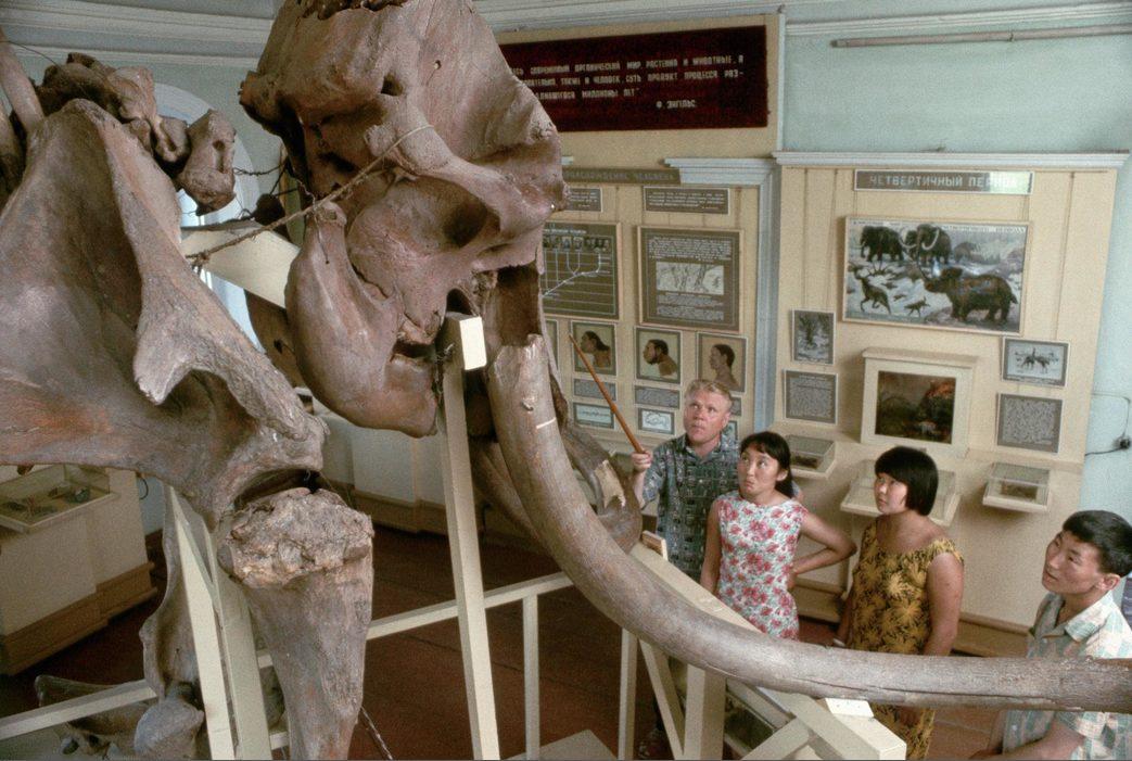 Скелет мамонта в Республиканском краеведческом музее имени Емельяна Ярославского
