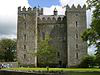 Tallaght Castle