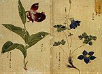 List of Cultural Properties of Japan - paintings (Hokkaidō)